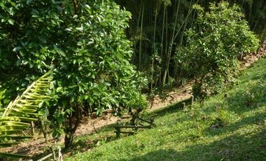 VENTA CASA CAMPESTRE VIA A BARCELONA - QUINDIO