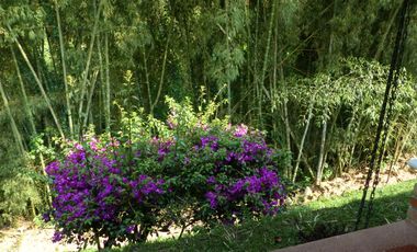 VENTA CASA CAMPESTRE VIA A BARCELONA - QUINDIO