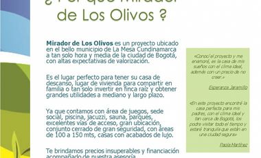 CONJUNTO LOS OLIVOS