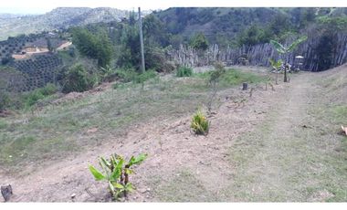 ESPECTACULAR FINCA EN SAN VICENTE FERRER