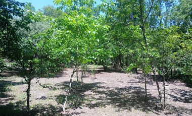 Terreno en  San Javier Traslasierra.