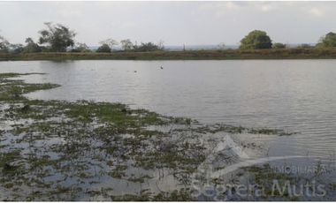 Finca en Venta en Cartagena de Indias - Via Mahates