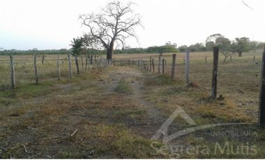 Finca en Venta en Cartagena de Indias - Via Mahates