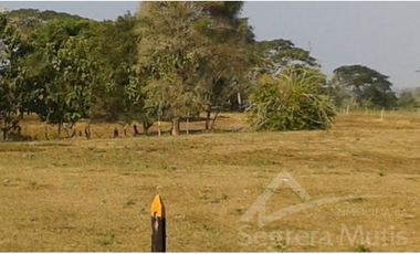 Finca en Venta en Cartagena de Indias - Via Mahates