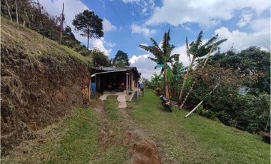 Finca cafetera para la venta en la bella Pereira!!!