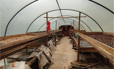 Finca cafetera para la venta en la bella Pereira!!!