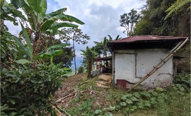 Finca cafetera para la venta en la bella Pereira!!!