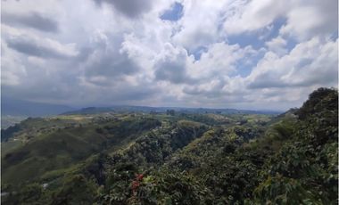 Finca cafetera para la venta en la bella Pereira!!!