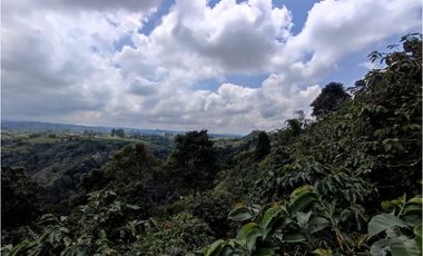 Finca cafetera para la venta en la bella Pereira!!!