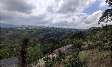 Finca cafetera para la venta en la bella Pereira!!!