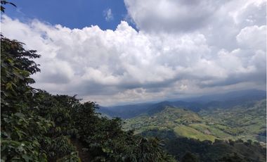 Finca cafetera para la venta en la bella Pereira!!!