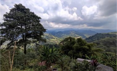 Finca cafetera para la venta en la bella Pereira!!!