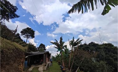 Finca cafetera para la venta en la bella Pereira!!!