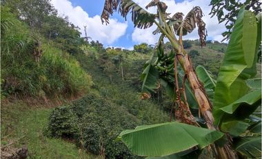 Finca cafetera para la venta en la bella Pereira!!!