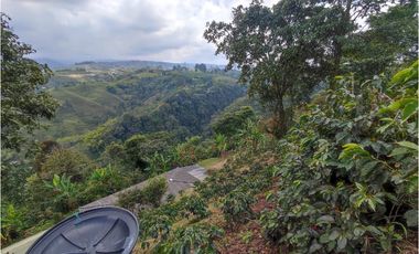 Finca cafetera para la venta en la bella Pereira!!!