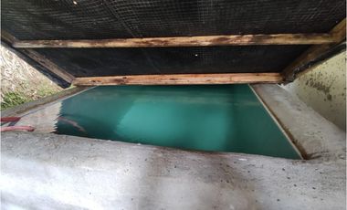 Finca cafetera para la venta en la bella Pereira!!!