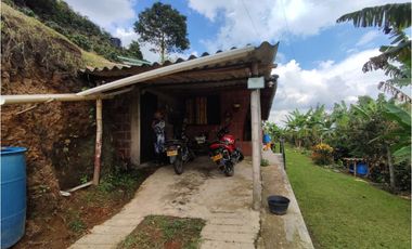 Finca cafetera para la venta en la bella Pereira!!!
