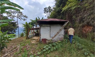 Finca cafetera para la venta en la bella Pereira!!!