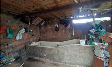 Finca cafetera para la venta en la bella Pereira!!!