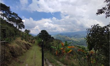 Finca cafetera para la venta en la bella Pereira!!!