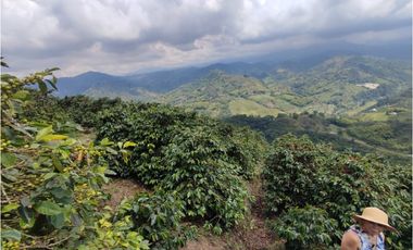 Finca cafetera para la venta en la bella Pereira!!!