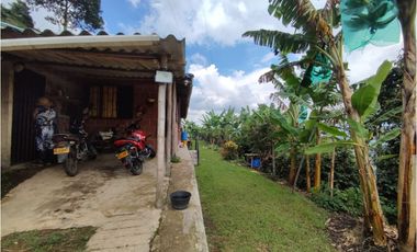 Finca cafetera para la venta en la bella Pereira!!!