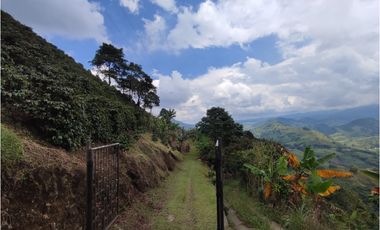 Finca cafetera para la venta en la bella Pereira!!!