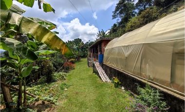 Finca cafetera para la venta en la bella Pereira!!!