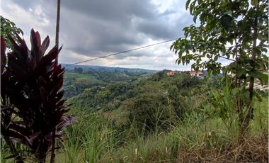 Finca cafetera para la venta en la bella Pereira!!!