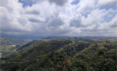 Finca cafetera para la venta en la bella Pereira!!!