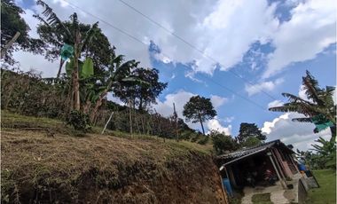 Finca cafetera para la venta en la bella Pereira!!!