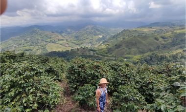 Finca cafetera para la venta en la bella Pereira!!!