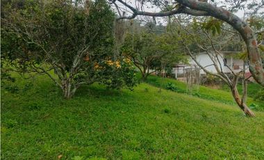 Venta de finca en san Francisco