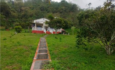 Venta de finca en san Francisco