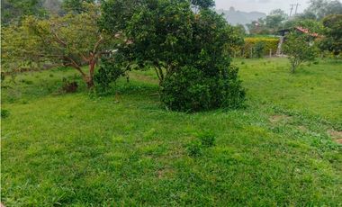 Venta de finca en san Francisco