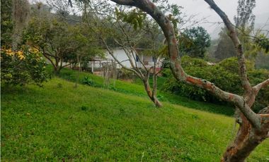 Venta de finca en san Francisco