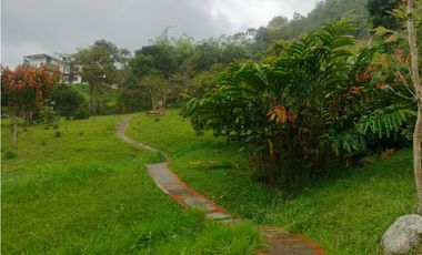 Venta de finca en san Francisco