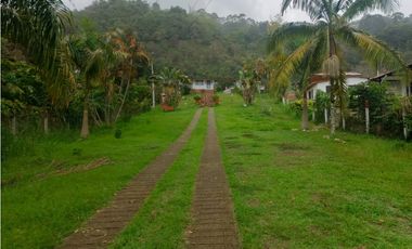 Venta de finca en san Francisco