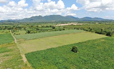 Land for sale in Huai Sai Nuea, Phetchaburi