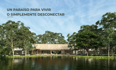 LOTES RESIDENCIALES ENTRE LA NATURALEZA DE LA SELVA MAYA, YUCATÁN..