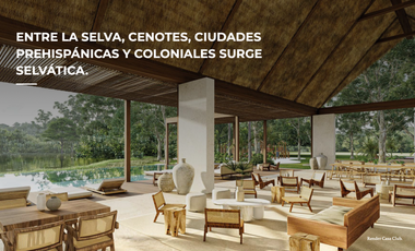 LOTES RESIDENCIALES ENTRE LA NATURALEZA DE LA SELVA MAYA, YUCATÁN..