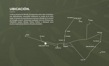 LOTES RESIDENCIALES ENTRE LA NATURALEZA DE LA SELVA MAYA, YUCATÁN..