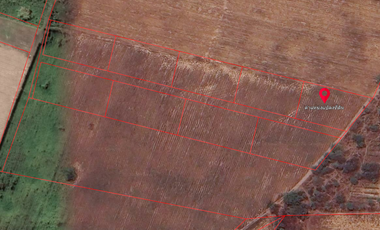 Land for sale in Huai Sai Nuea, Phetchaburi
