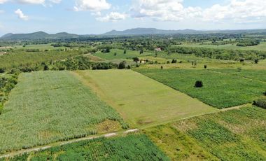 Land for sale in Huai Sai Nuea, Phetchaburi