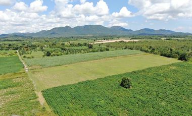 Land for sale in Huai Sai Nuea, Phetchaburi