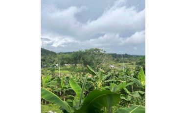 VENDO CASA LOTE EN RIO SERENO CHIRIQU
