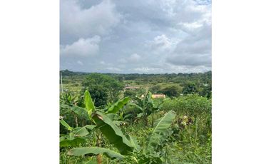 VENDO CASA LOTE EN RIO SERENO CHIRIQU