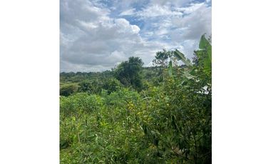 VENDO CASA LOTE EN RIO SERENO CHIRIQU