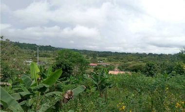 VENDO CASA LOTE EN RIO SERENO CHIRIQU