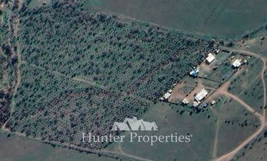 Parcela en Venta en NUEVO COLORADO